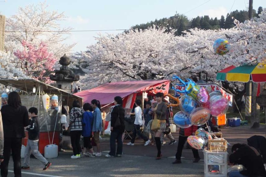 Hanami season is like a regular festival