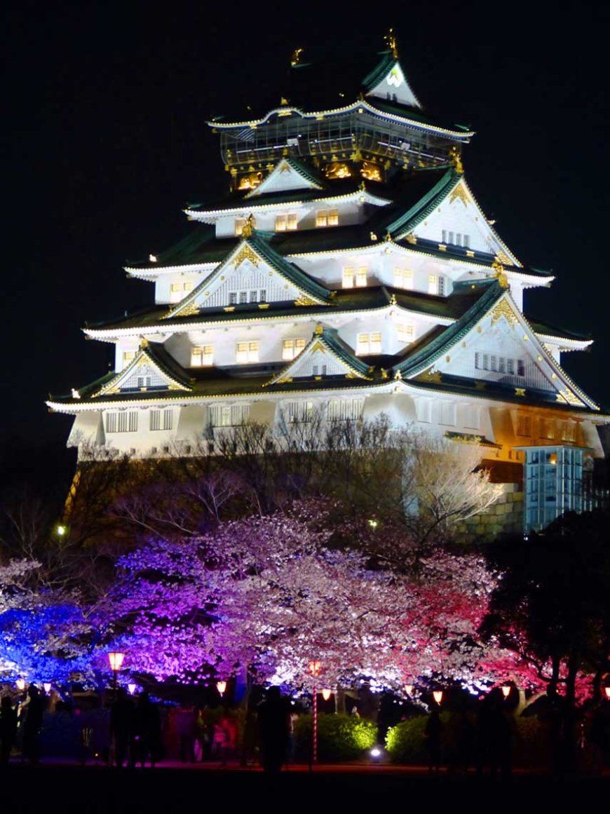 The lit-up cherry trees and Osaka castle keep tower in Osaka