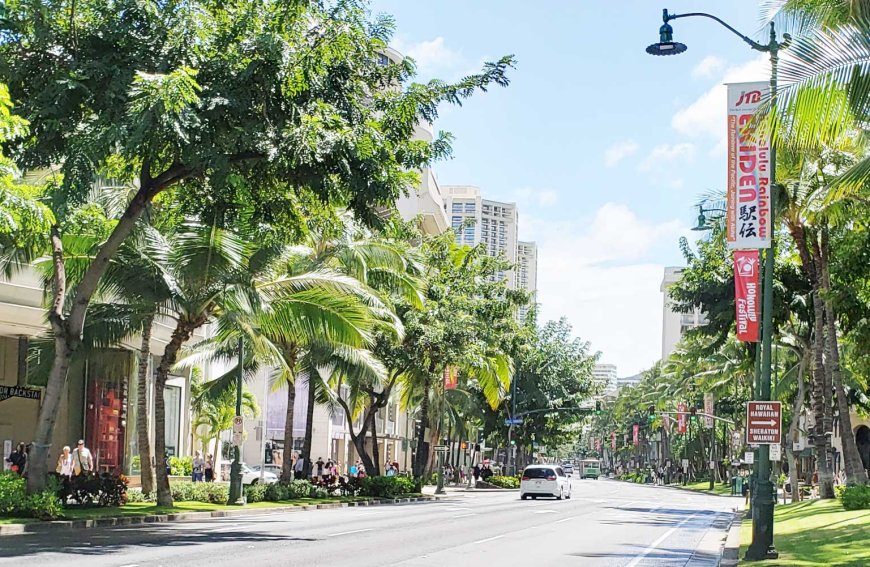 hawaii-a-favorite-destination-for-many-japanese-tourists-06