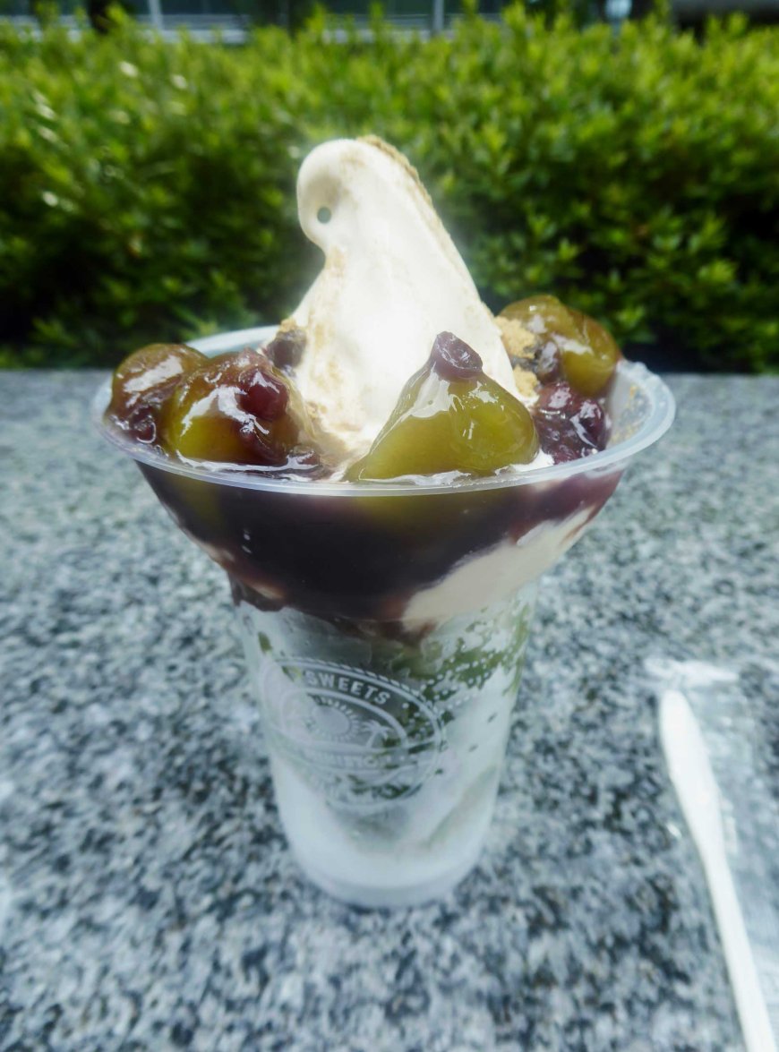 nostalgic-cravings-missing-halo-halo-every-summer-in-japan-04