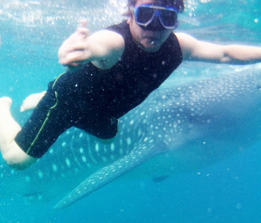 swimming-with-the-gentle-giants-a-mesmerizing-encounter-with-whale-sharks-in-oslob-cebu-02