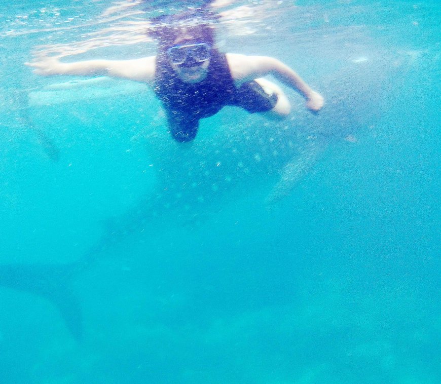 swimming-with-the-gentle-giants-a-mesmerizing-encounter-with-whale-sharks-in-oslob-cebu-03