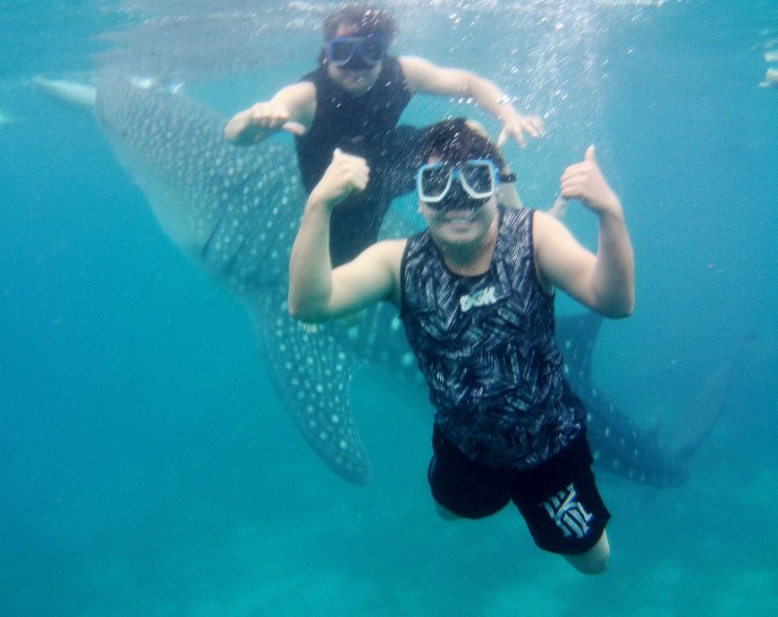 swimming-with-the-gentle-giants-a-mesmerizing-encounter-with-whale-sharks-in-oslob-cebu-07