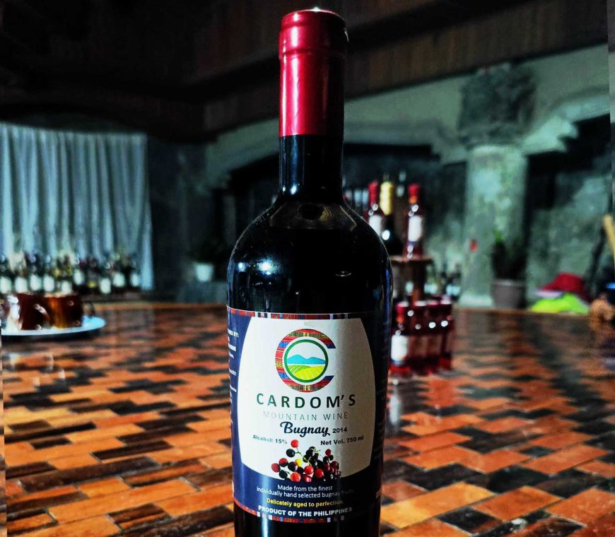 bugnay-or-bignay-wine-the-exquisite-filipino-treasure-03