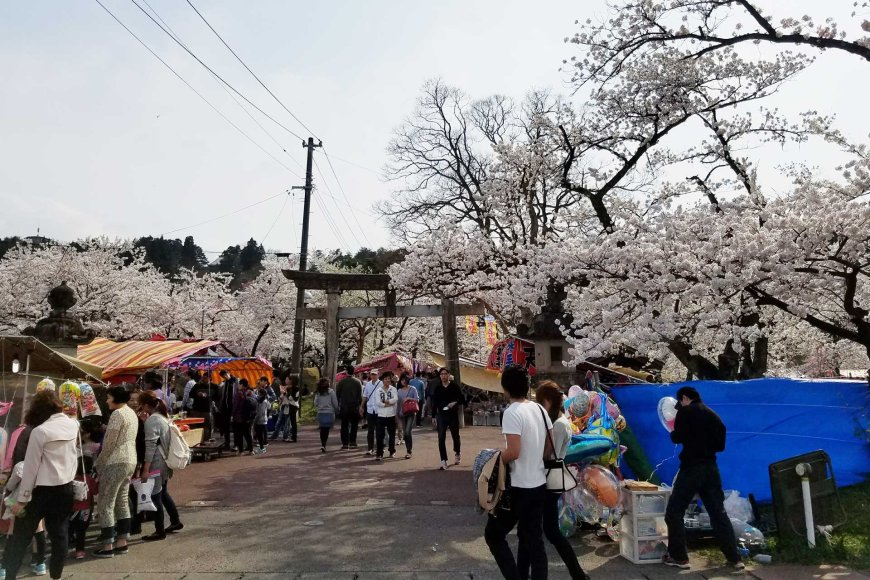 blooming-bonanza-springtime-in-japan-06