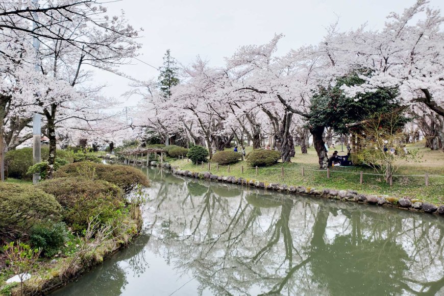 blooming-bonanza-springtime-in-japan-08