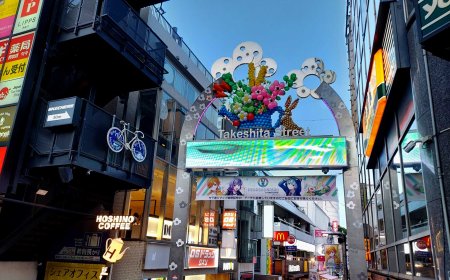 Harajuku, Lolita, and Street Fashion