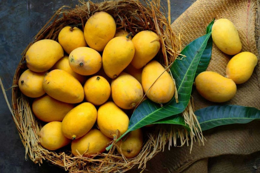 mango-in-the-philippines-a-tropical-treasure-02