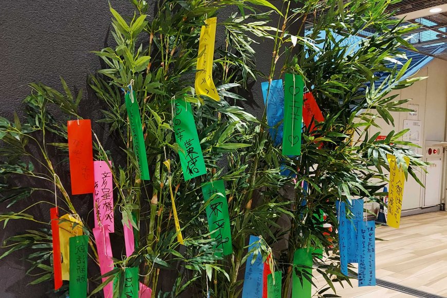 tanabata-a-starry-celebration-of-love-and-wishes-04