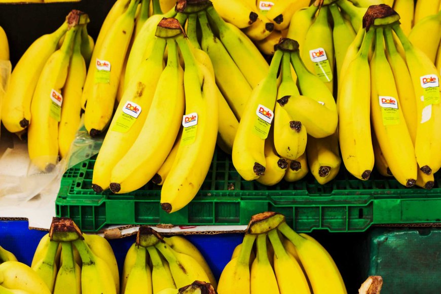 philippines-loses-second-place-in-global-banana-exports-06