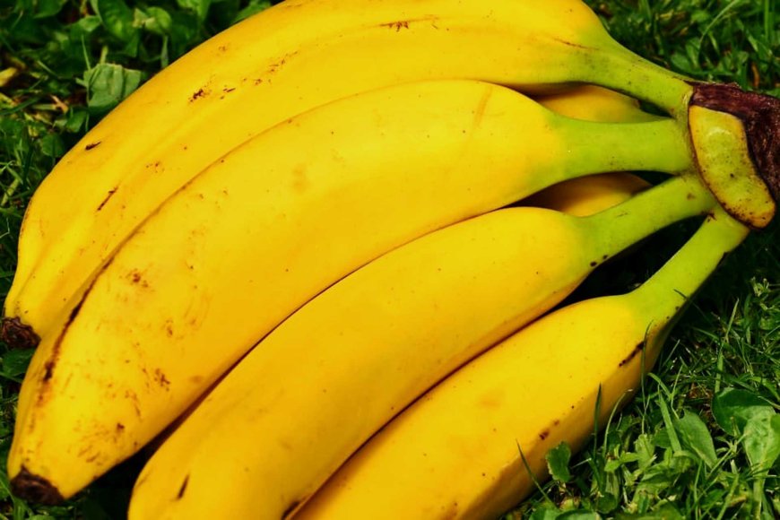 philippines-loses-second-place-in-global-banana-exports-09