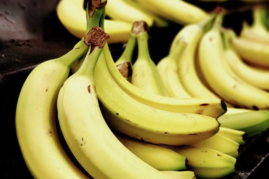 philippines-loses-second-place-in-global-banana-exports-11