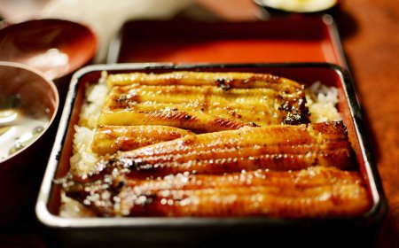 Unaju: Delicious Grilled Eel on Top of Rice