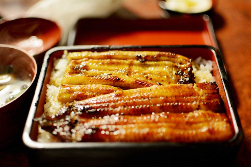 Unaju: Delicious Grilled Eel on Top of Rice