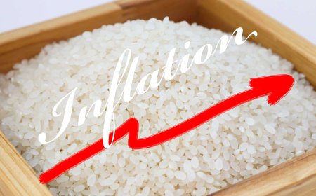 The Surge in Rice Prices: What’s Happening and Why?