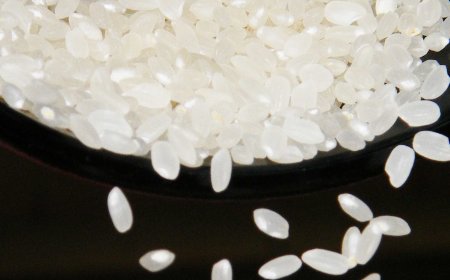 Niigata Begins Koshihikari Rice Shipments