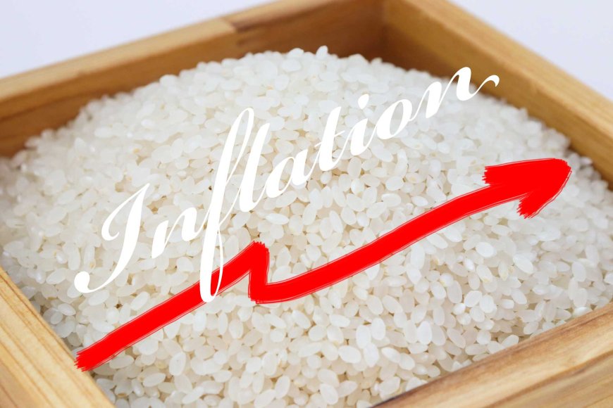 The Surge in Rice Prices: What’s Happening and Why?