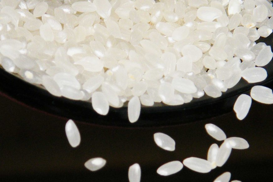 Niigata Begins Koshihikari Rice Shipments