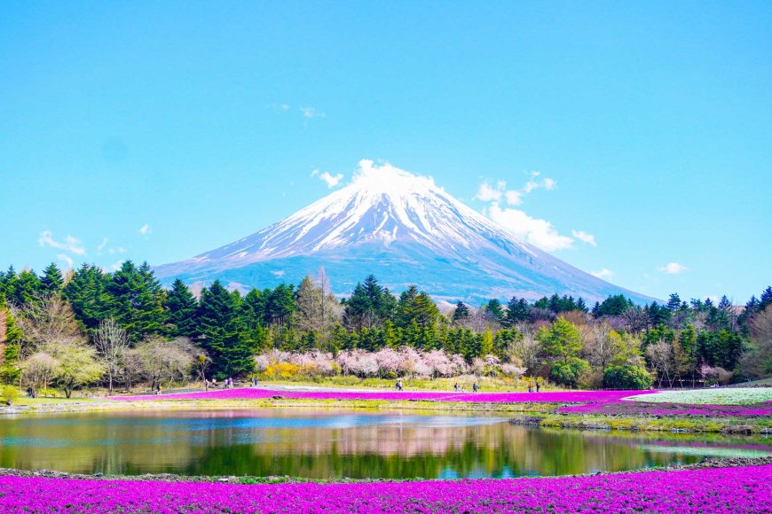 mount-fuji-visitor-numbers-drop-after-new-tourism-rules-03