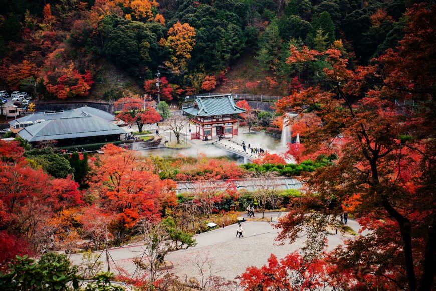 autumn-in-japan-the-season-of-harvest-and-celebration-05