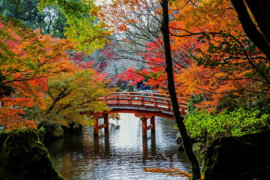 Autumn in Japan: The Season of Harvest and Celebration