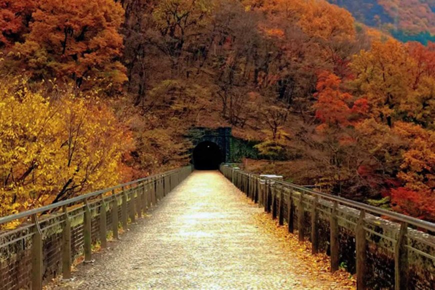 Megane Bridge: Stunning Autumn Foliage and Mystical Tunnel Experience