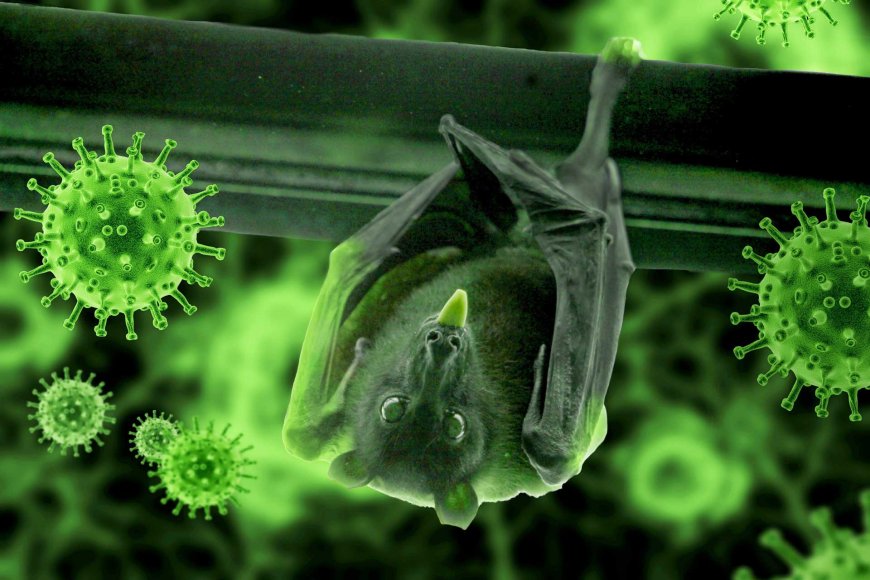 new-bat-coronavirus-discovered-at-wuhan-lab-03