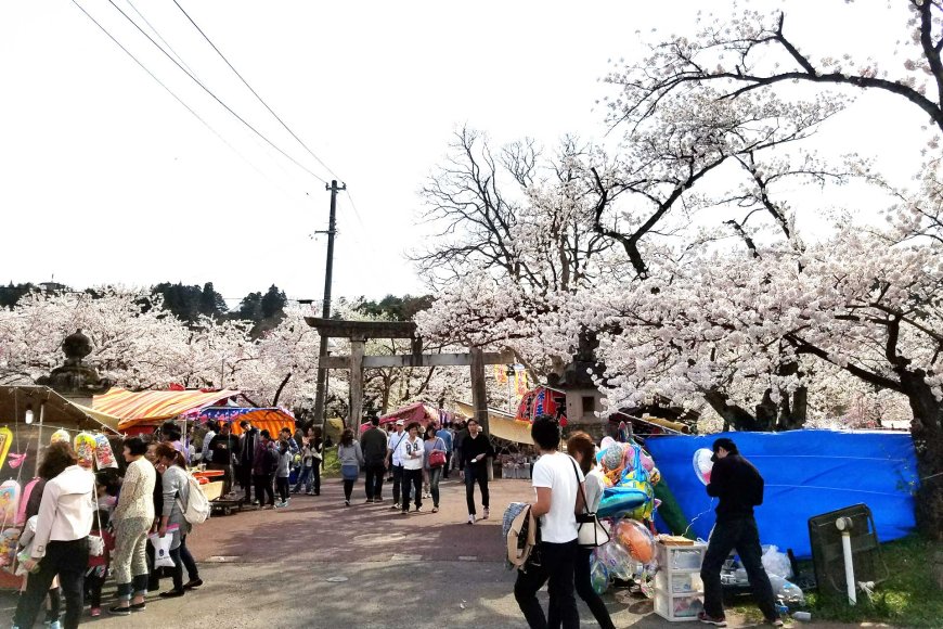 spring-in-japan-2025-a-season-of-blossoms-festivals-and-traditions-05